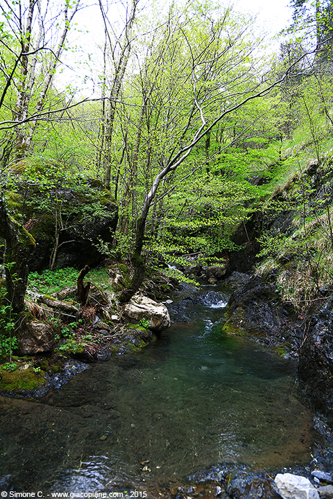 Torrente Sturla - (Sturla river not far from its source)